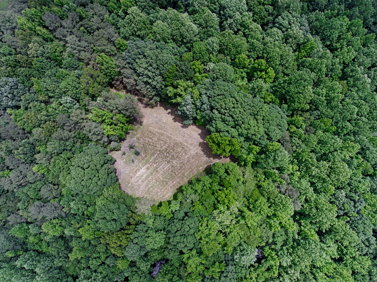 1218 Johnson Branch Road Pulaski, TN 38478 - Photo 2 of 23 a view of a lush green field