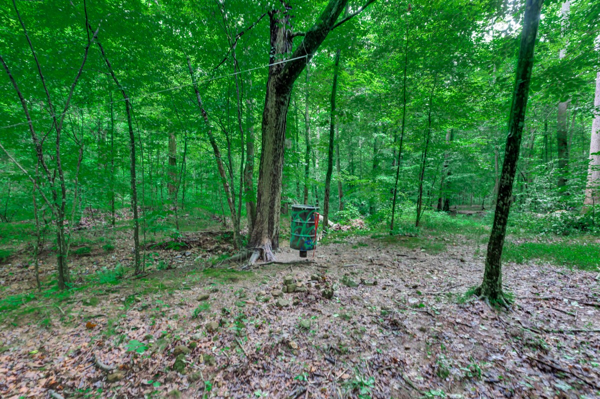 1218 Johnson Branch Road Pulaski, TN 38478 - Photo 12 of 23 a view of a forest with trees in the background