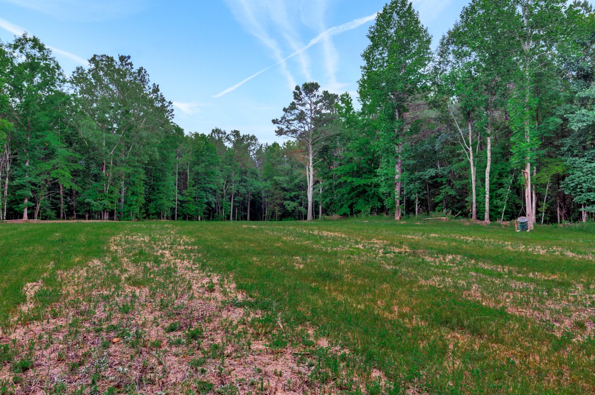 1218 Johnson Branch Road Pulaski, TN 38478 - Photo 14 of 23 a view of backyard with green space
