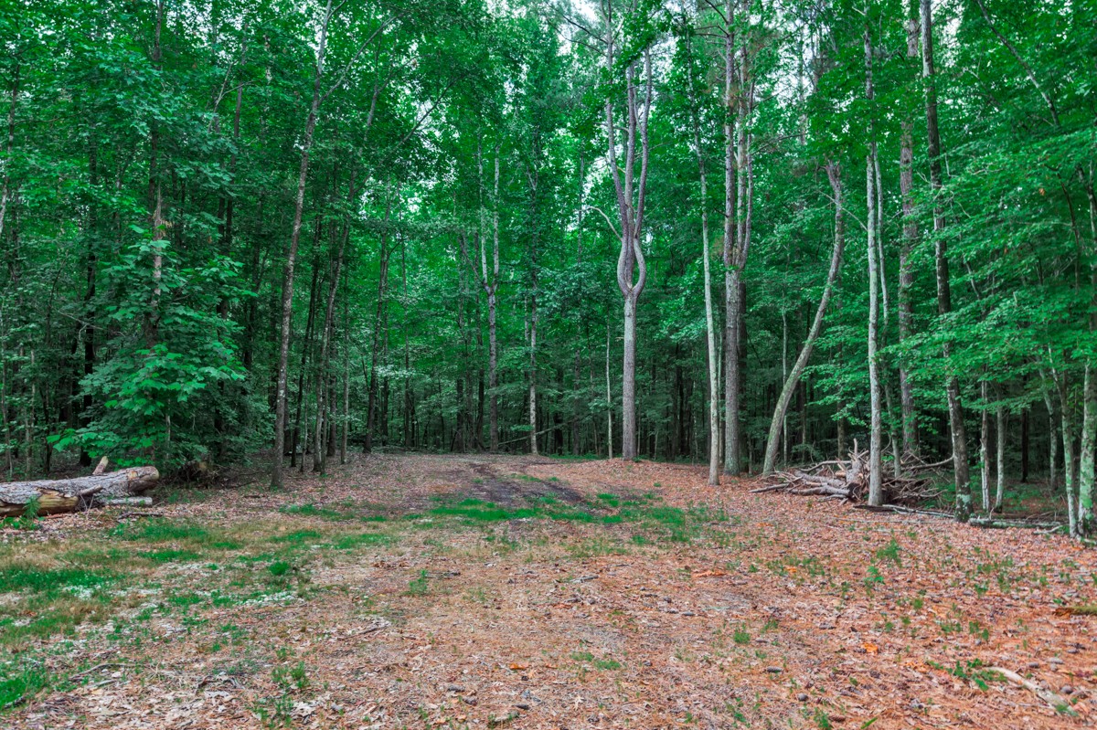 1218 Johnson Branch Road Pulaski, TN 38478 - Photo 16 of 23 a backyard of a house with lots of green space