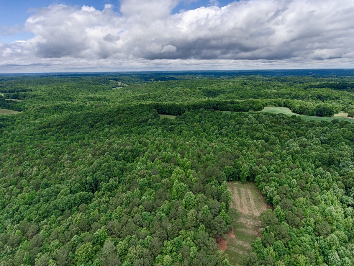1218 Johnson Branch Road Pulaski, TN 38478 - Photo 3 of 23 a view of a yard in a field
