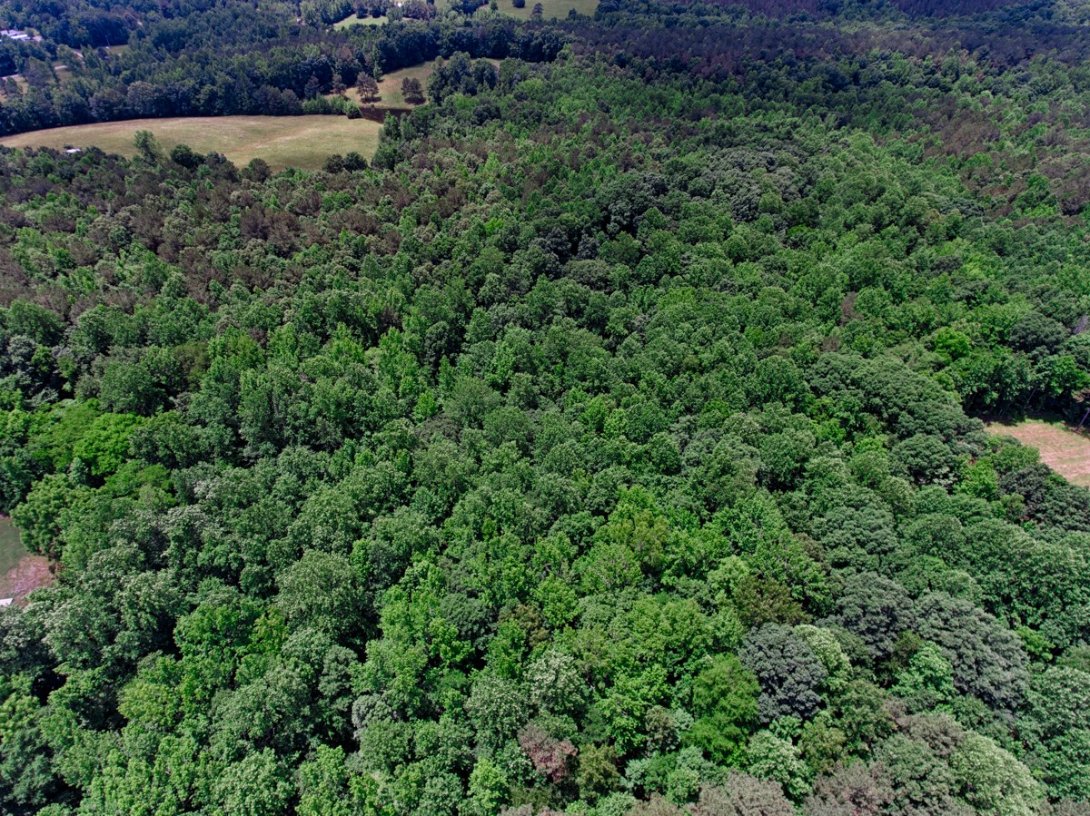 1218 Johnson Branch Road Pulaski, TN 38478 - Photo 4 of 23 an aerial view of a house with a yard