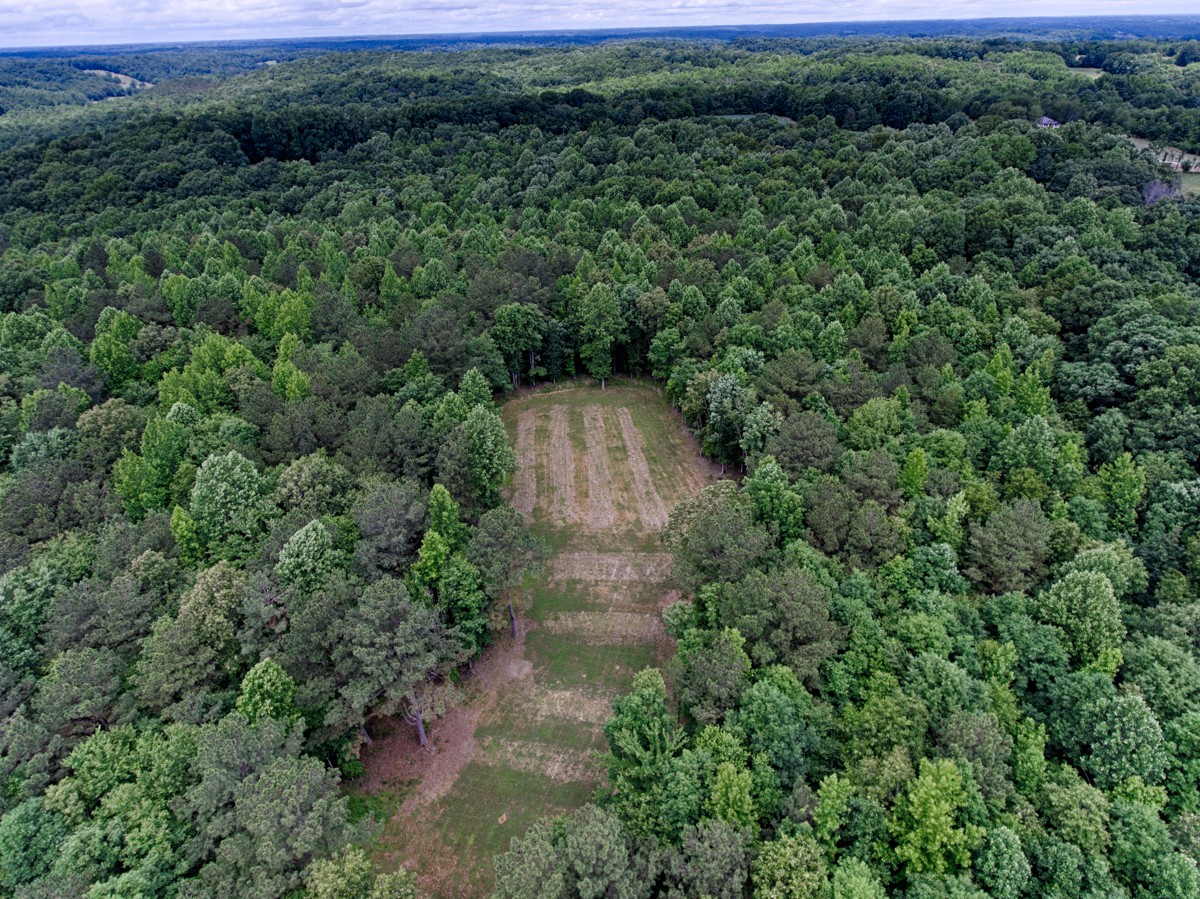 1218 Johnson Branch Road Pulaski, TN 38478 - Photo 5 of 23 an aerial view of a house with a yard