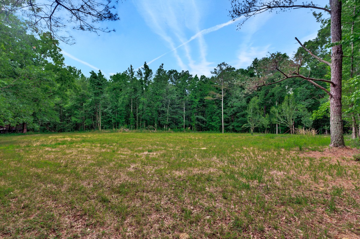1218 Johnson Branch Road Pulaski, TN 38478 - Photo 7 of 23 a view of a field with trees in the background