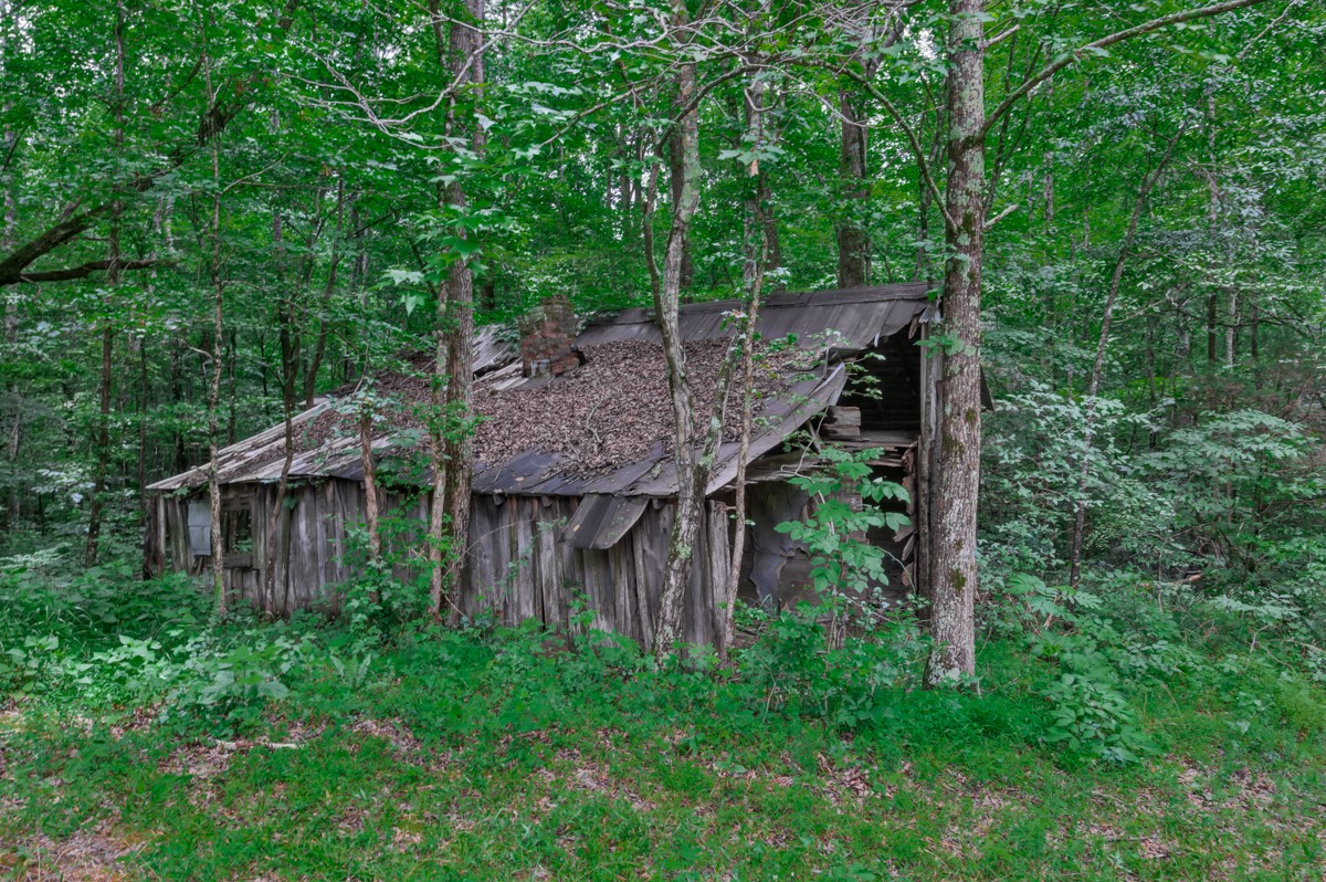 1218 Johnson Branch Road Pulaski, TN 38478 - Photo 8 of 23 a backyard of a house with lots of green space
