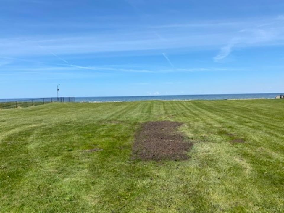 643 South Linwood Beach Road Linwood, MI 48634 - Photo 6 of 15