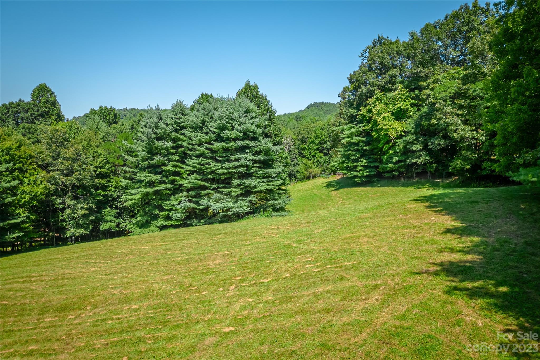 829 Slick Rock Road Brevard, NC 28712 - Photo 42 of 48 Gallery Image 42