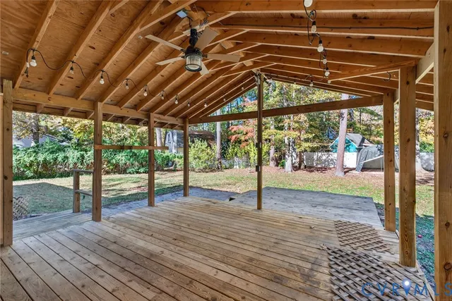 a view of a trees in a yard