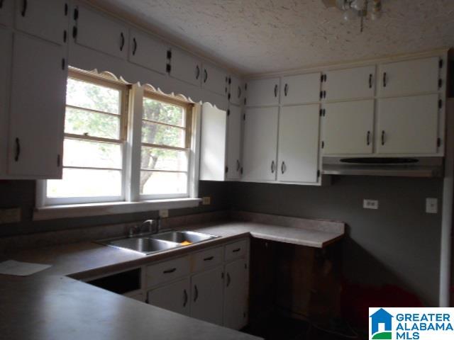385 Ravine Road Birmingham, AL 35210 - Photo 2 of 19 Gallery Image 2