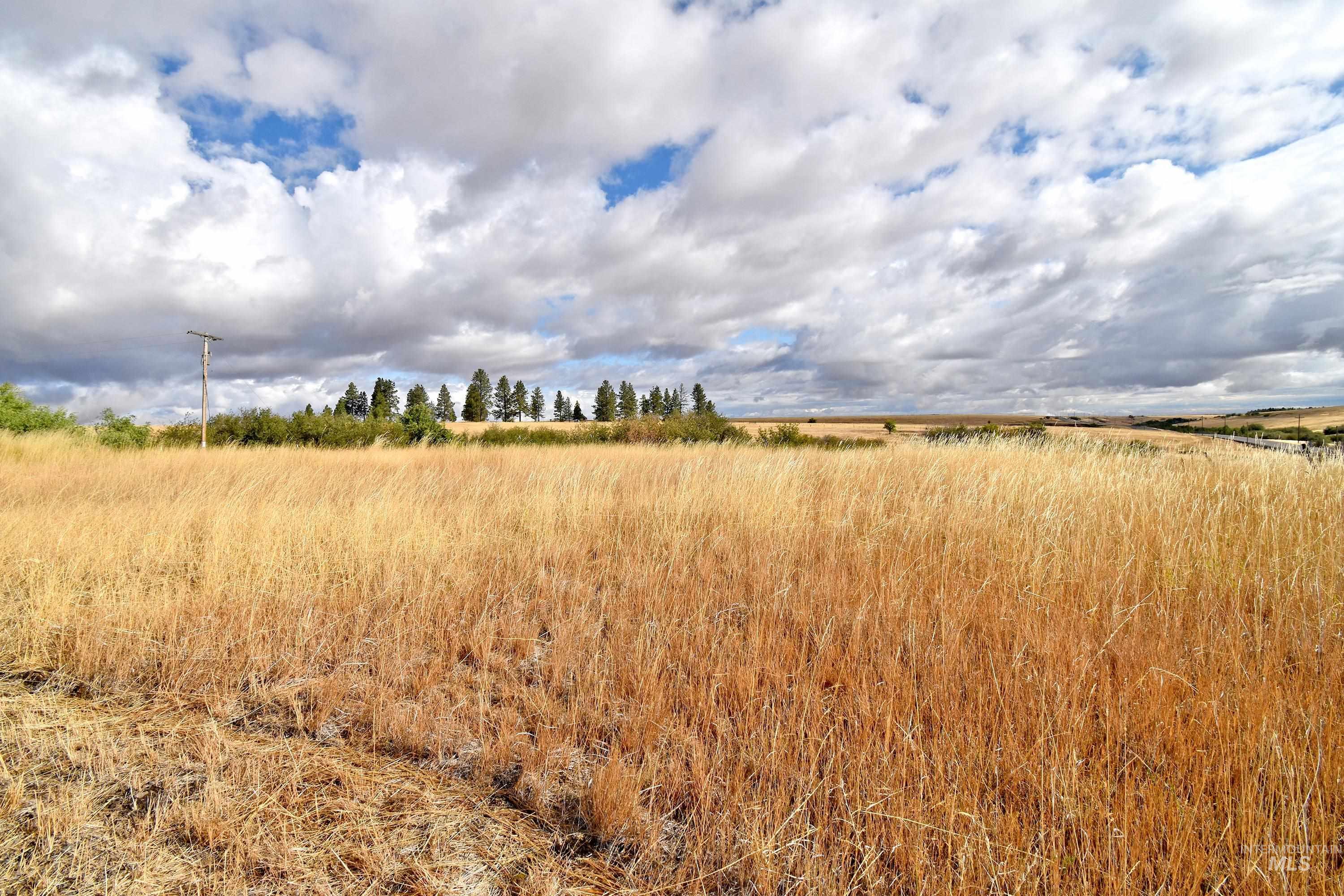 Boyd Lane Anatone, WA 99401 - Photo 14 of 14
