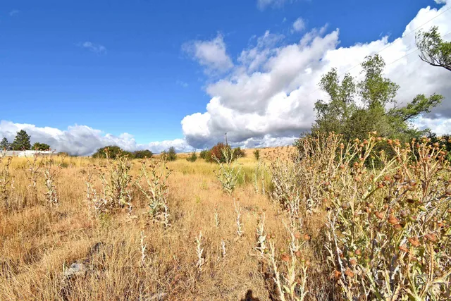 $185,000 | Boyd Lane, Anatone, WA 99401