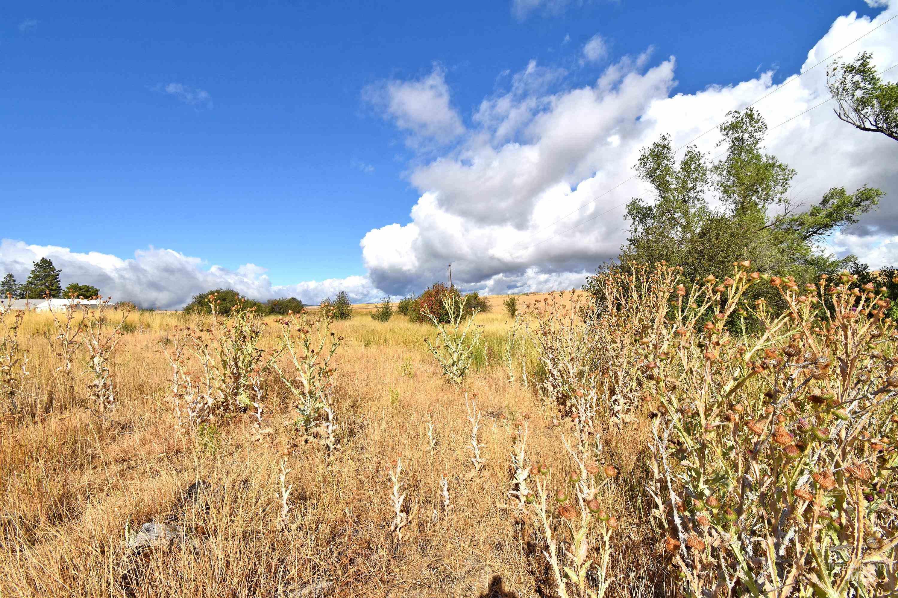 Boyd Lane Anatone, WA 99401 - Photo 3 of 14