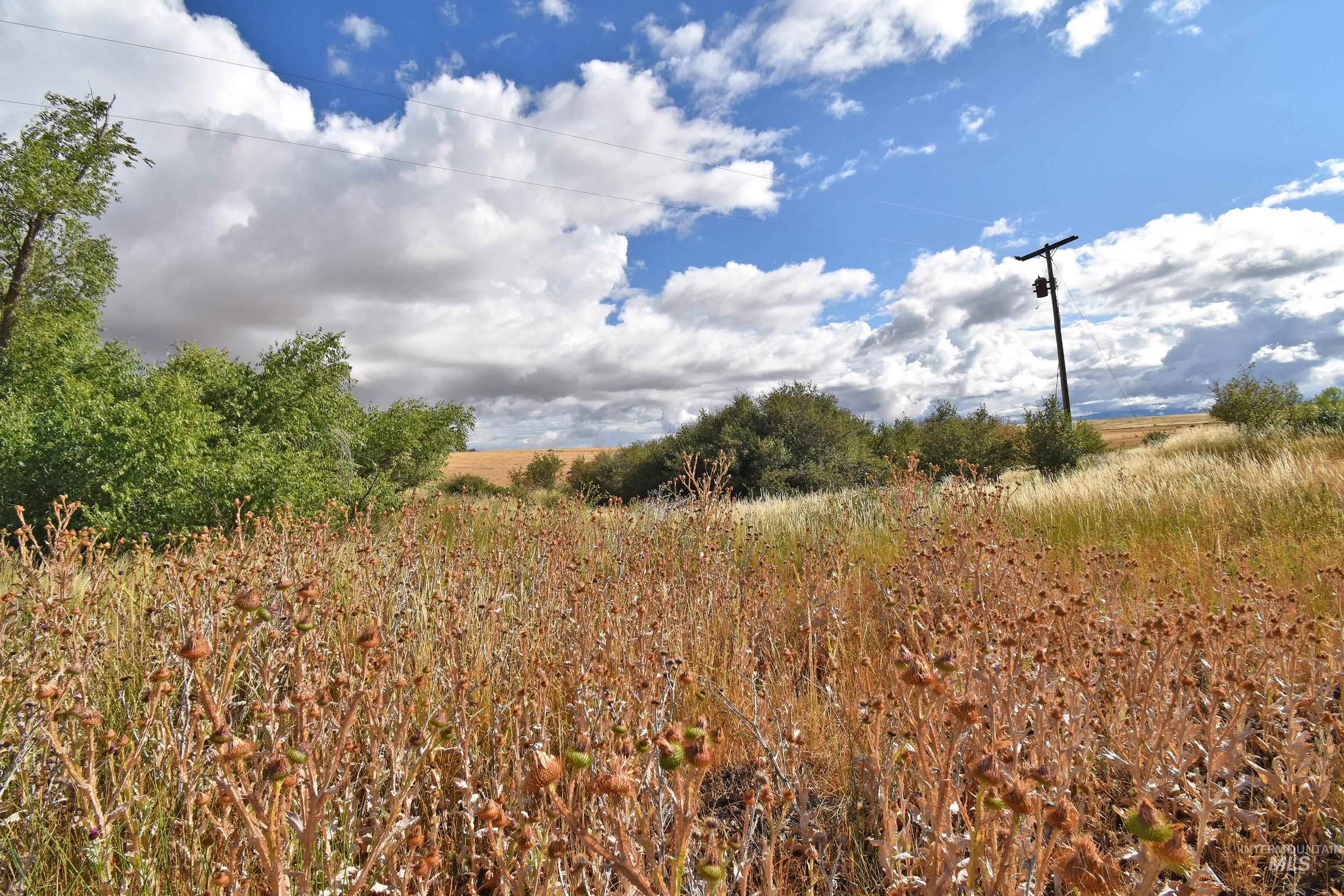 Boyd Lane Anatone, WA 99401 - Photo 5 of 14