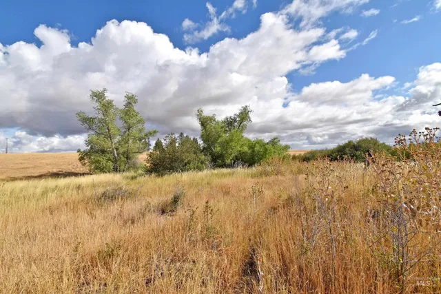 $185,000 | Boyd Lane, Anatone, WA 99401