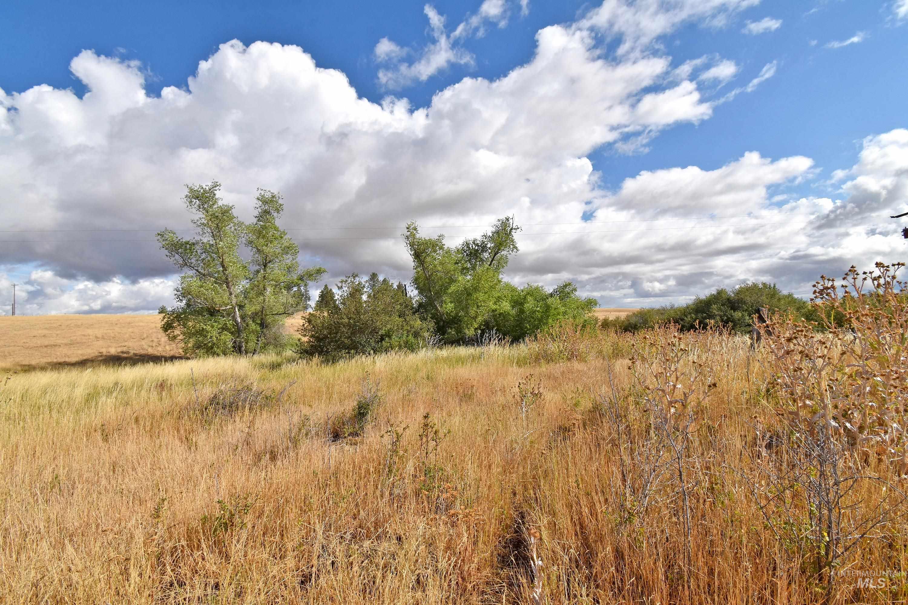 Boyd Lane Anatone, WA 99401 - Photo 6 of 14