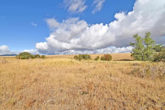 $185,000 | Boyd Lane, Anatone, WA 99401