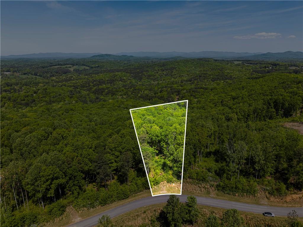 112 Twisted Oak Road Talking Rock, GA 30175 - Photo 10 of 14 a view of a yard