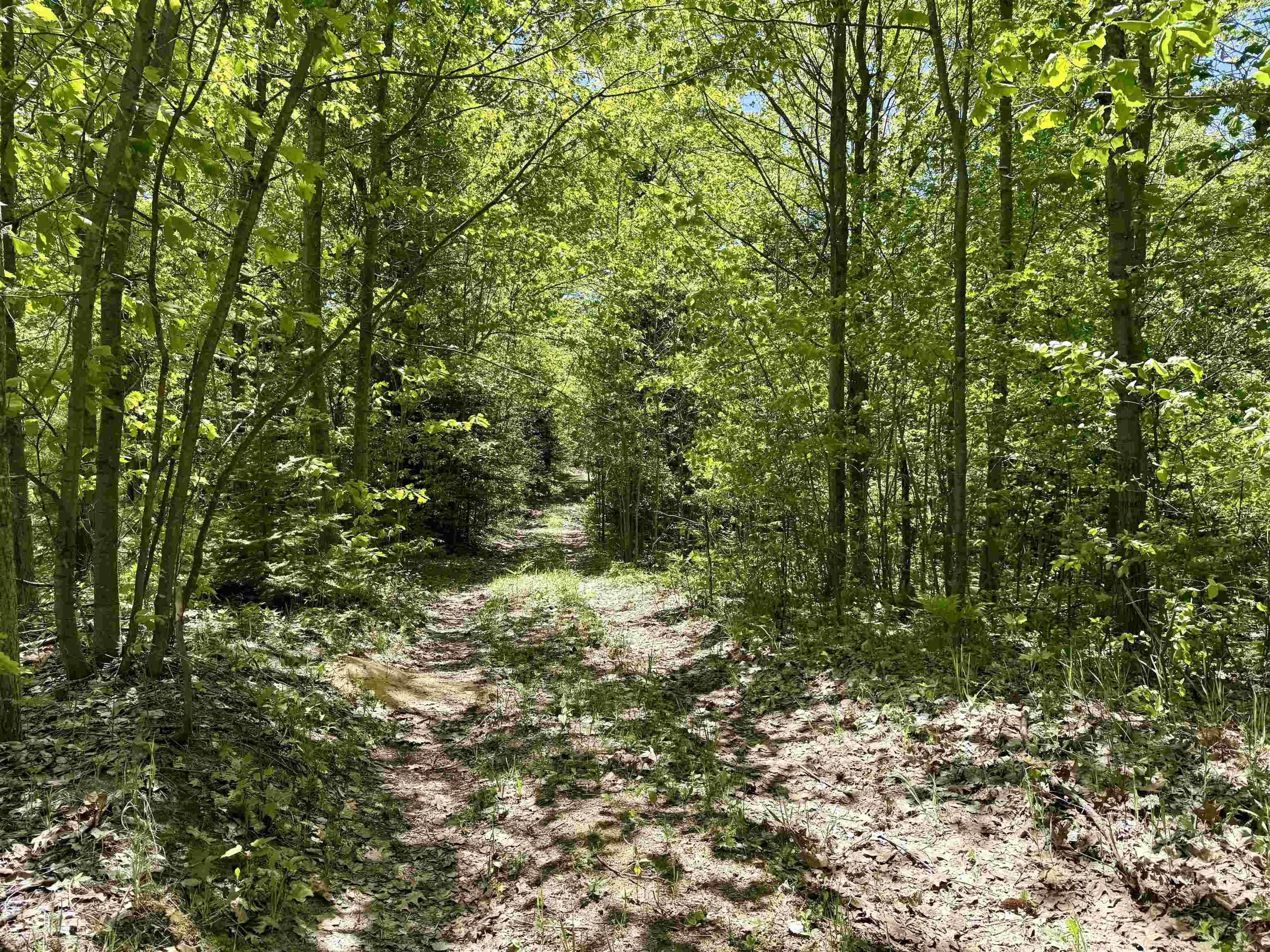 0 Ora Lake Road Hale, MI 48739 - Photo 9 of 22