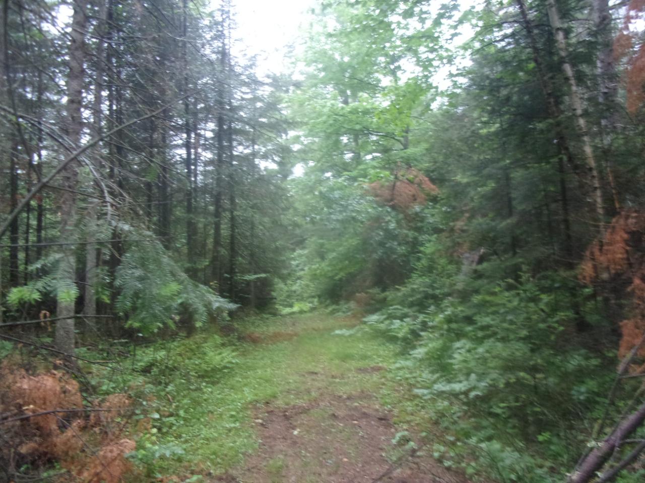 Lot 14 Ryan Rpds Bluff Rhinelander, WI 54501 - Photo 5 of 6 Gallery Image 5