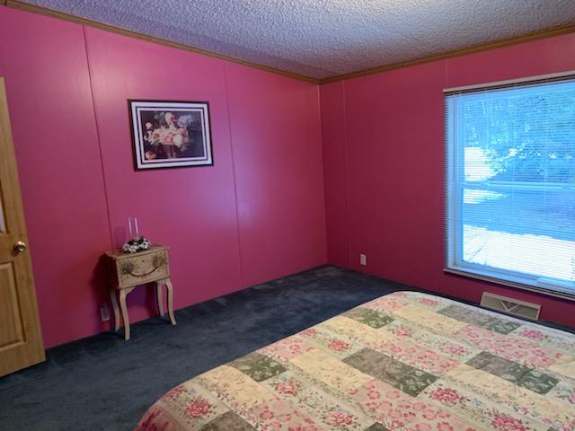 8043 South Forrest Side Road Brimley, MI 49715 - Photo 32 of 47 Gallery Image 32