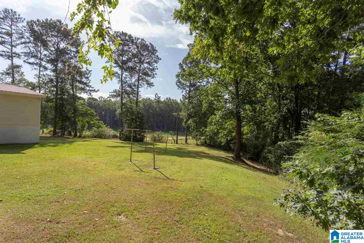 950 Back Bone Road Blountsville, AL 35031 - Photo 37 of 40