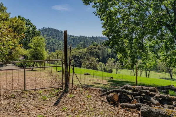 a view of backyard space