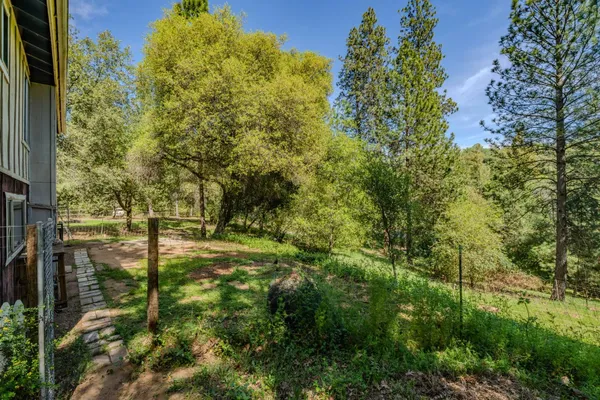 a backyard of a house with yard and tree