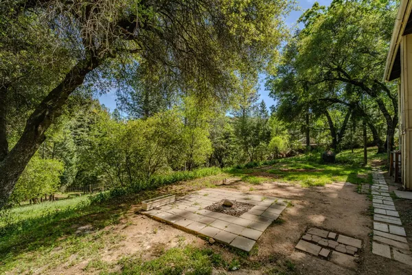 a view of a yard with a tree