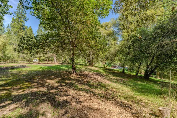 a view of yard with tree