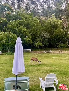 a living room with furniture and fireplace