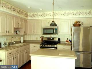 11 New Road Lambertville, NJ 08530 - Photo 6 of 6 Gallery Image 6