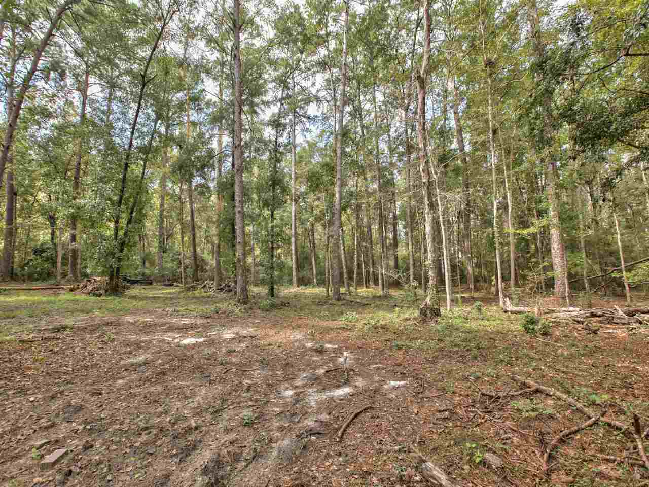 4642 Amber Valley Road Tallahassee, FL 32312 - Photo 4 of 36 Gallery Image 4