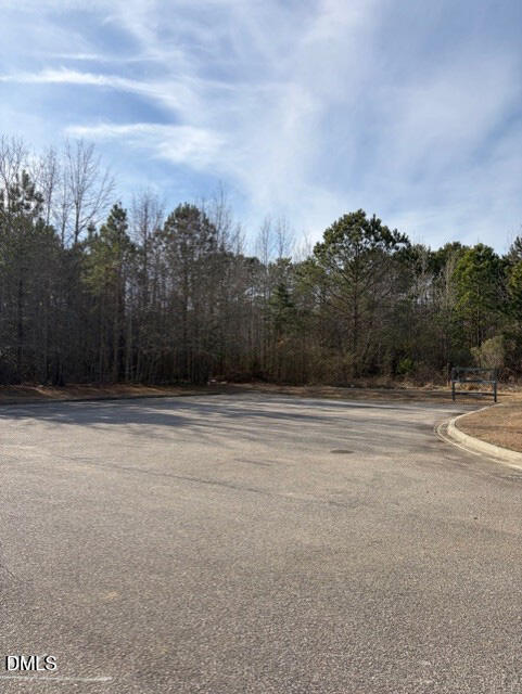 0 St Matthews Road Erwin, NC 28339 - Photo 4 of 5