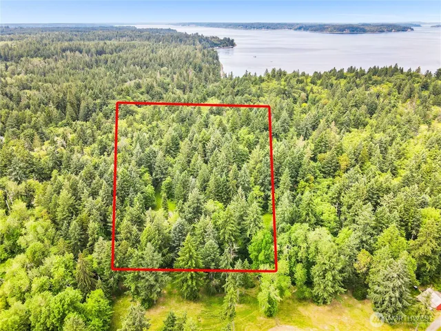 a view of a bunch of flowers and trees