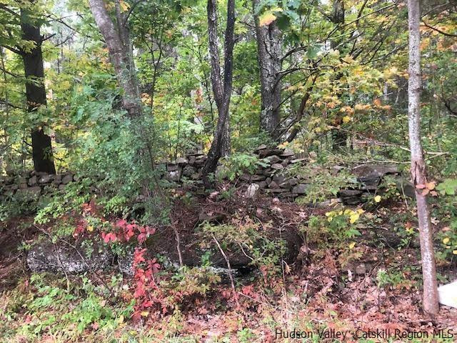 673 Alcove Road New Baltimore, NY 12087 - Photo 6 of 11 a picture of trees