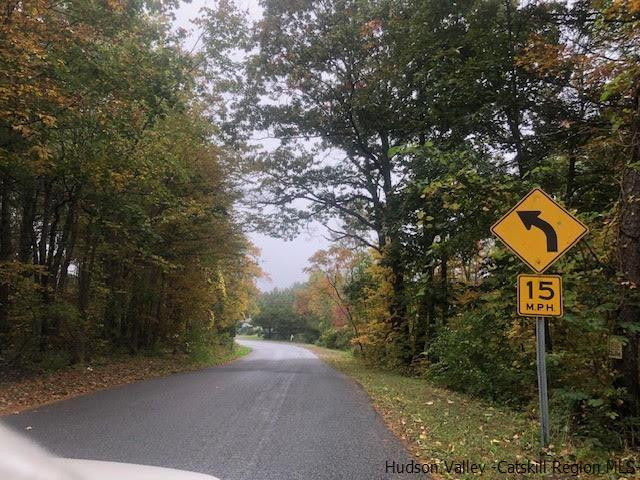 673 Alcove Road New Baltimore, NY 12087 - Photo 9 of 11 a picture of street view