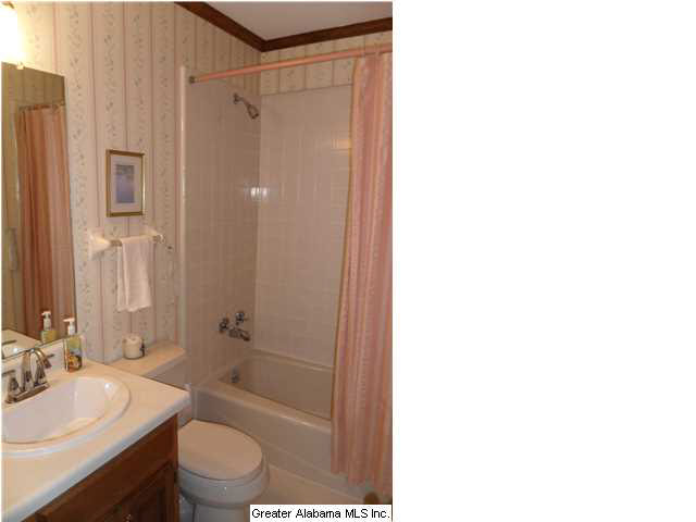 7279 Briarcliff Road Dora, AL 35062 - Photo 16 of 32