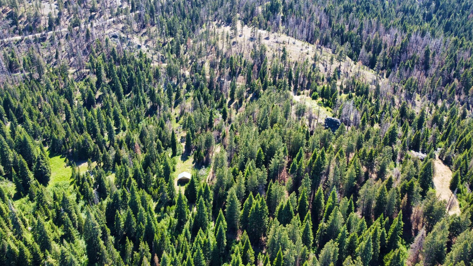 40-acres 40-acres Ammon Ridge Road Willow Creek, CA 95573 - Photo 17 of 28
