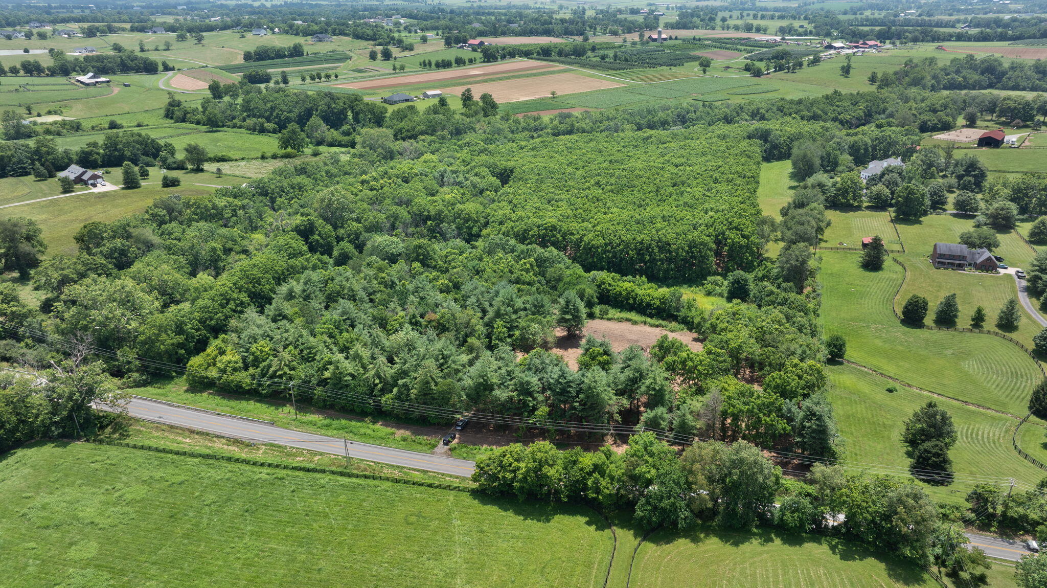 5365 Paris Road Georgetown, KY 40324 - Photo 7 of 43 3-web-or-mls-DJI_20250707134538_0207_D