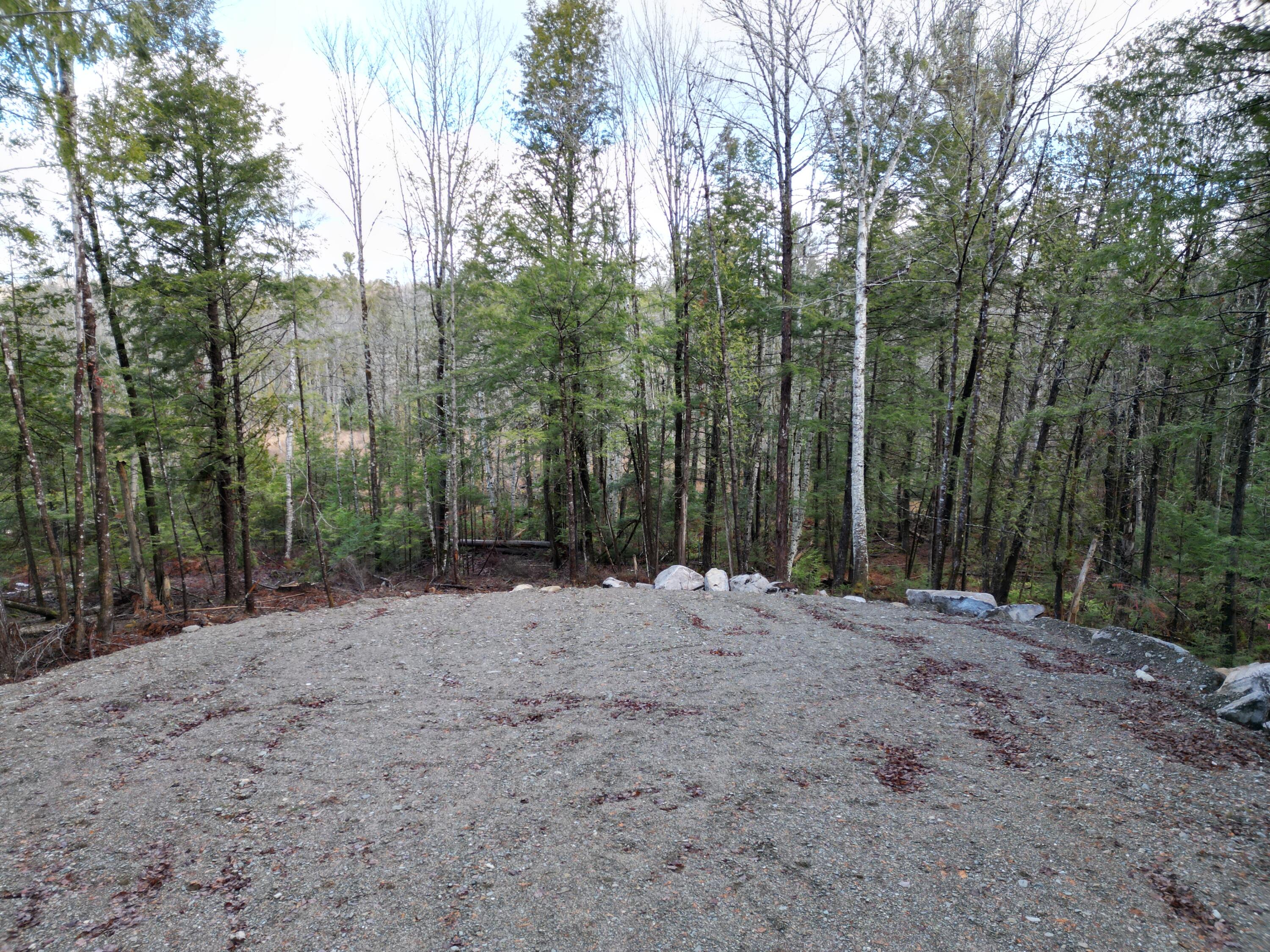 10 Falcon Ridge Lincoln, ME 04457 - Photo 5 of 16 DJI_0001