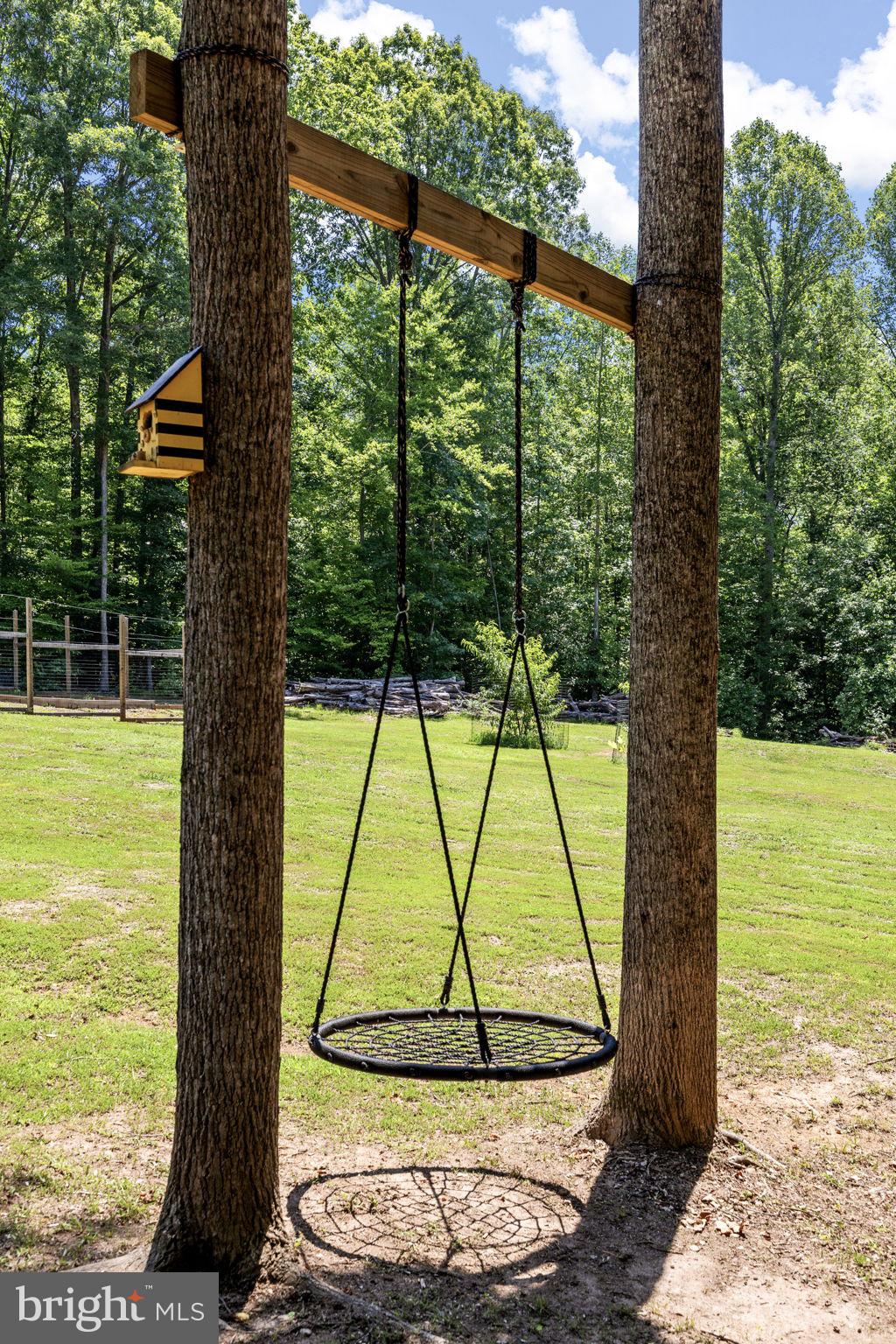 621 Ridgemont Drive Louisa, VA 23093 - Photo 67 of 81 Play Area Swing