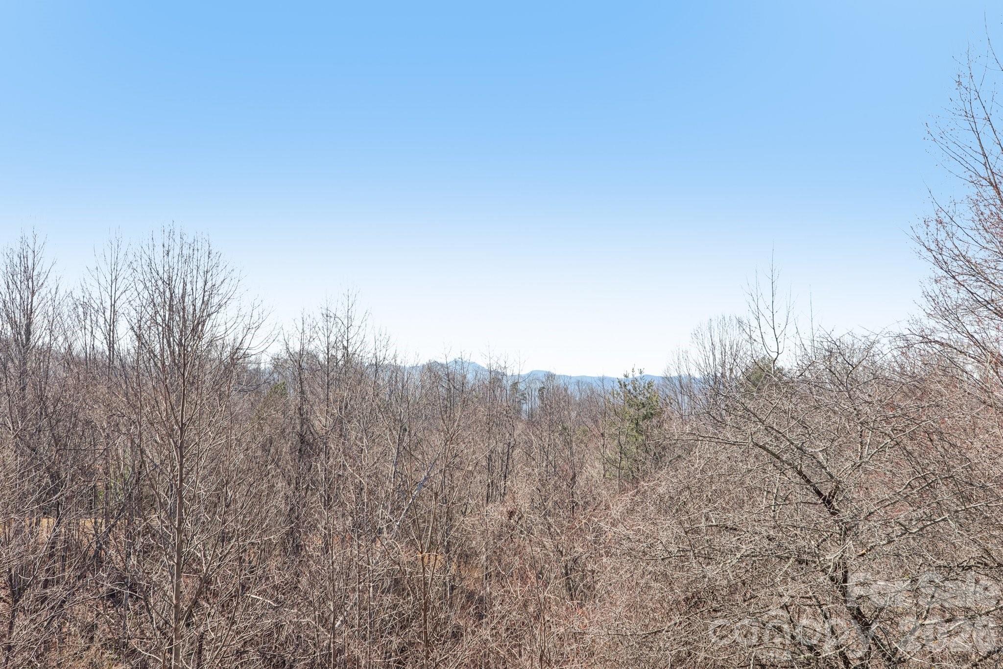 751 Hutch Mountain Road Fletcher, NC 28732 - Photo 38 of 48 a view of mountain view with trees