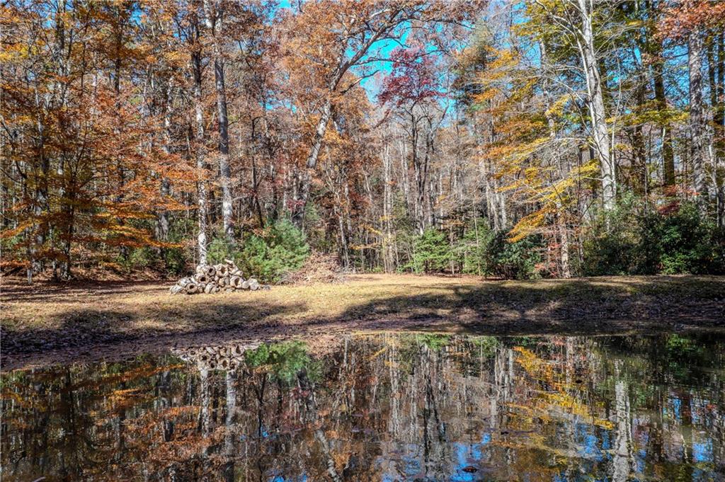 339 Wehunt Road Epworth, GA 30541 - Photo 82 of 83