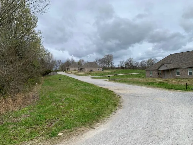 a view of a house with a big yard and a large trees