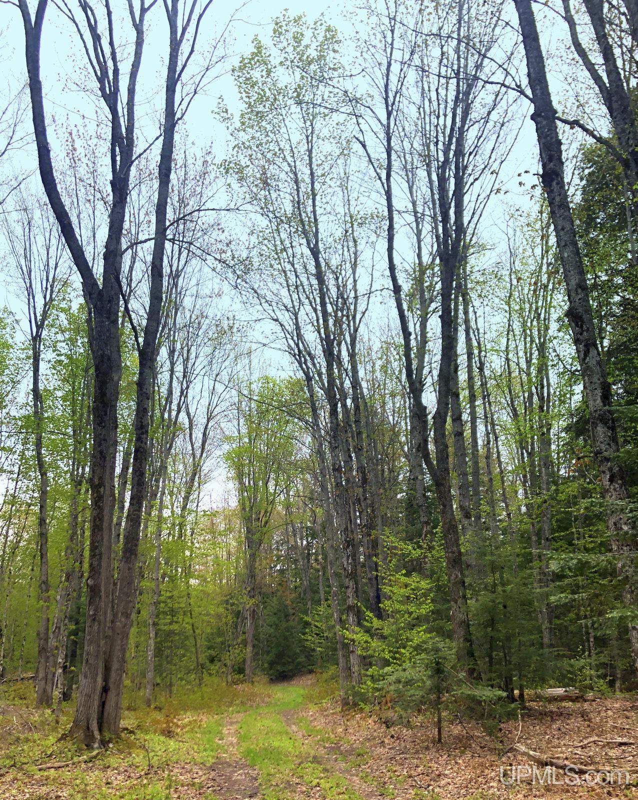 Tbd Tbd Northwestern/camp Road Ishpeming, MI 49849 - Photo 61 of 63