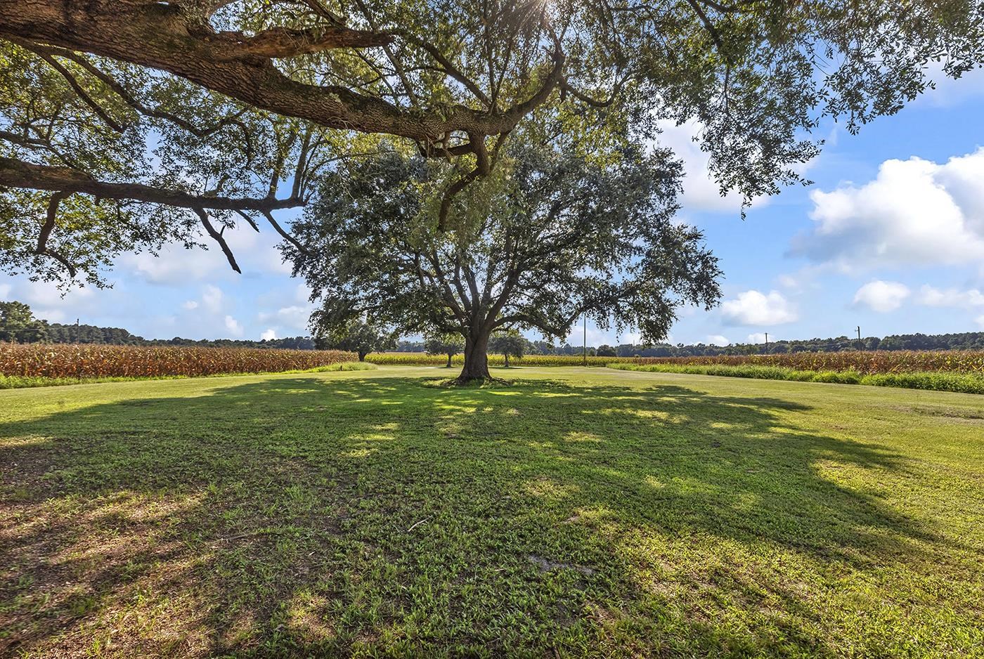 3568 State Rd S-14-401 Alcolu, SC 29001 - Photo 12 of 65 Gallery Image 12