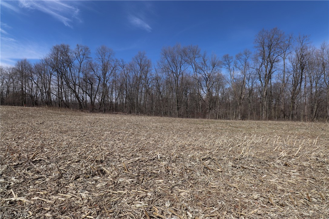 8 New Delaware Road Mount Vernon, OH 43050 - Photo 8 of 12 Gallery Image 8