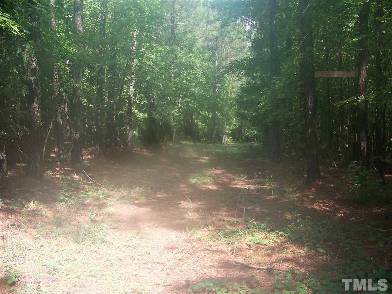1 Roxboro Road Rougemont, NC 27572 - Photo 2 of 35 a view of a yard with a tree