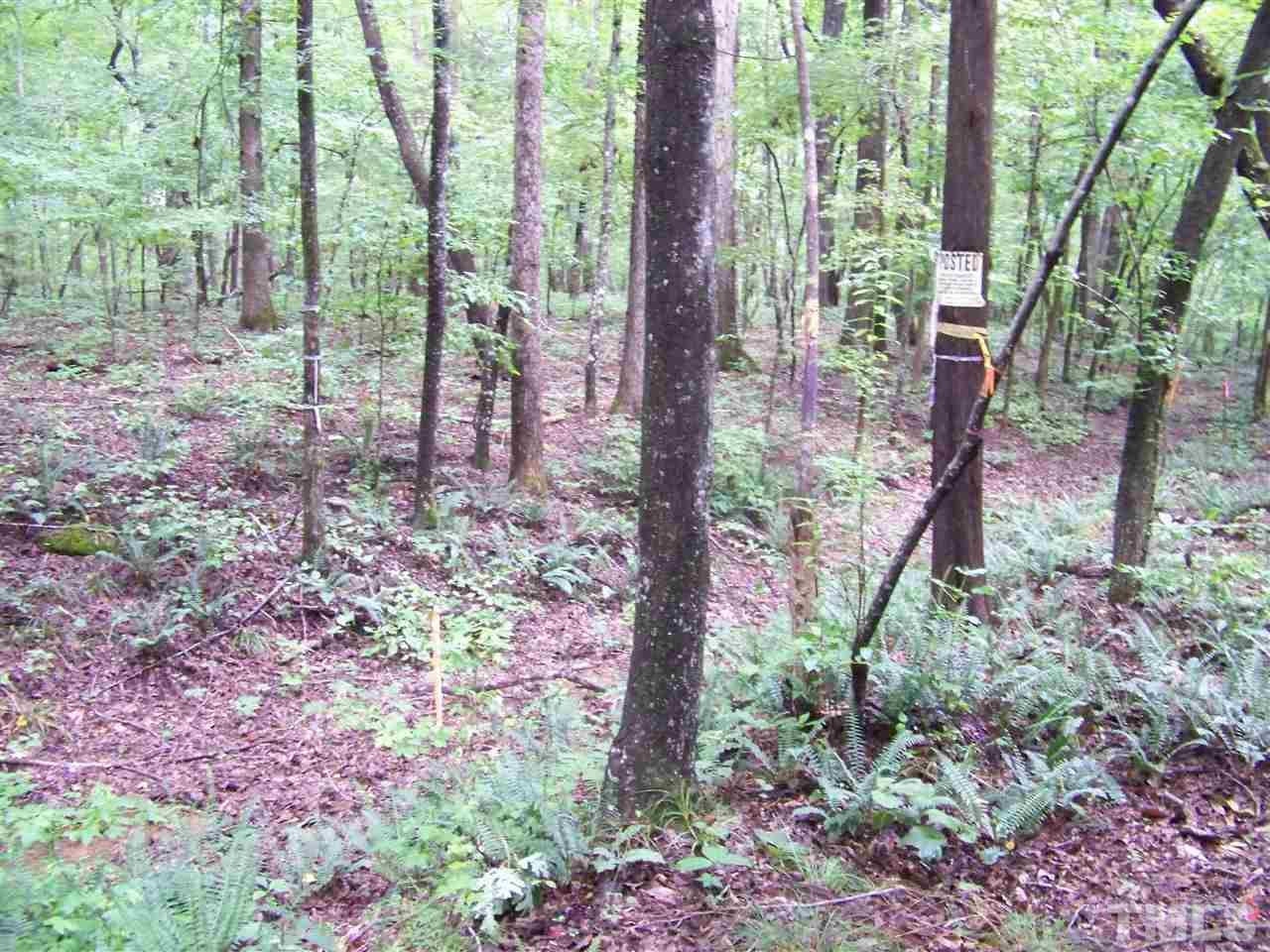 1 Roxboro Road Rougemont, NC 27572 - Photo 11 of 35 a view of yard