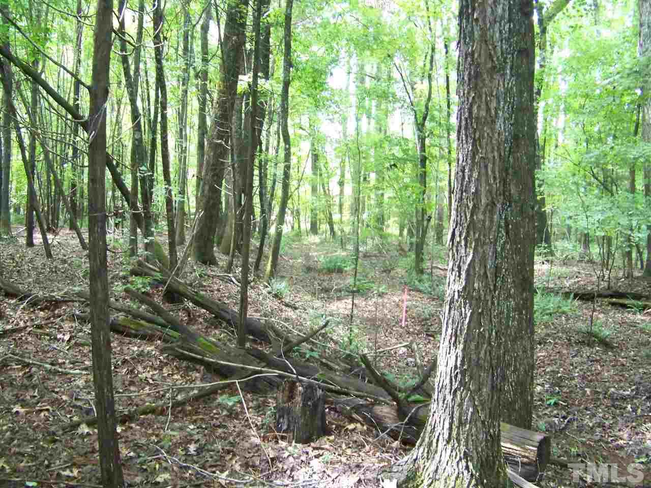 1 Roxboro Road Rougemont, NC 27572 - Photo 12 of 35 a view of outdoor space and garden